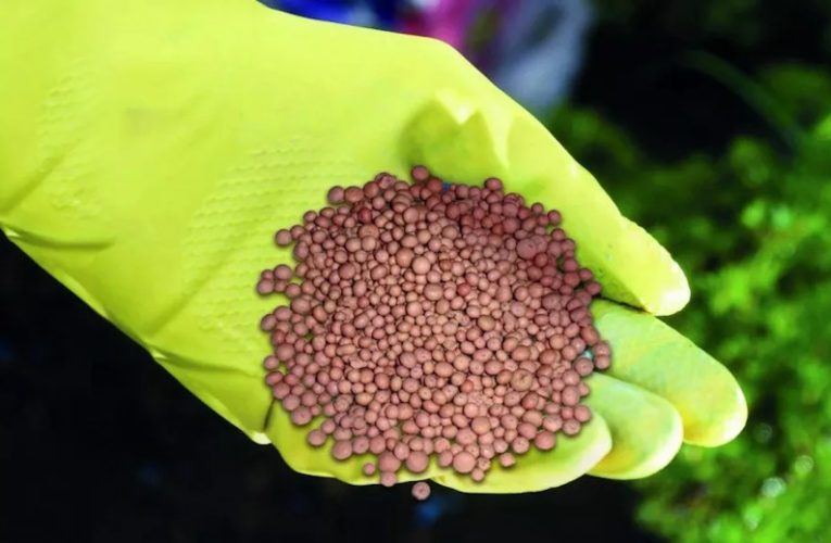 нітроамофоски