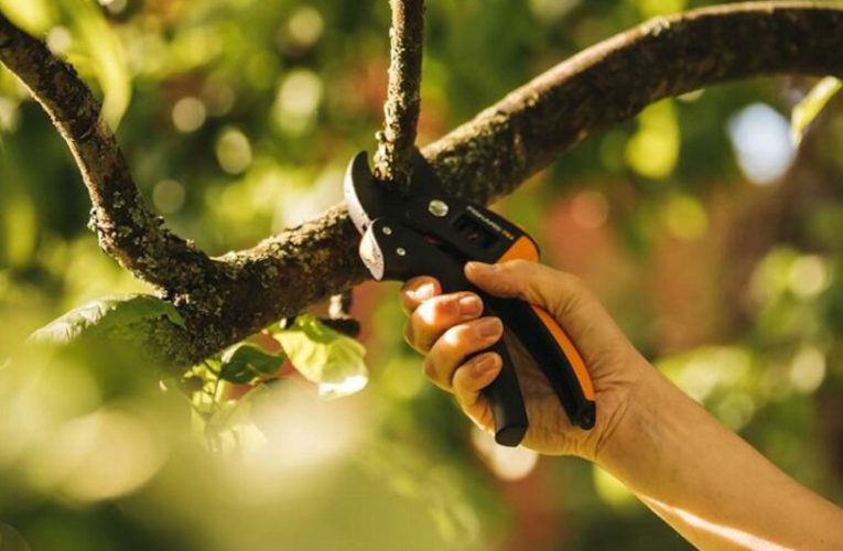 Секатори Фіскарс