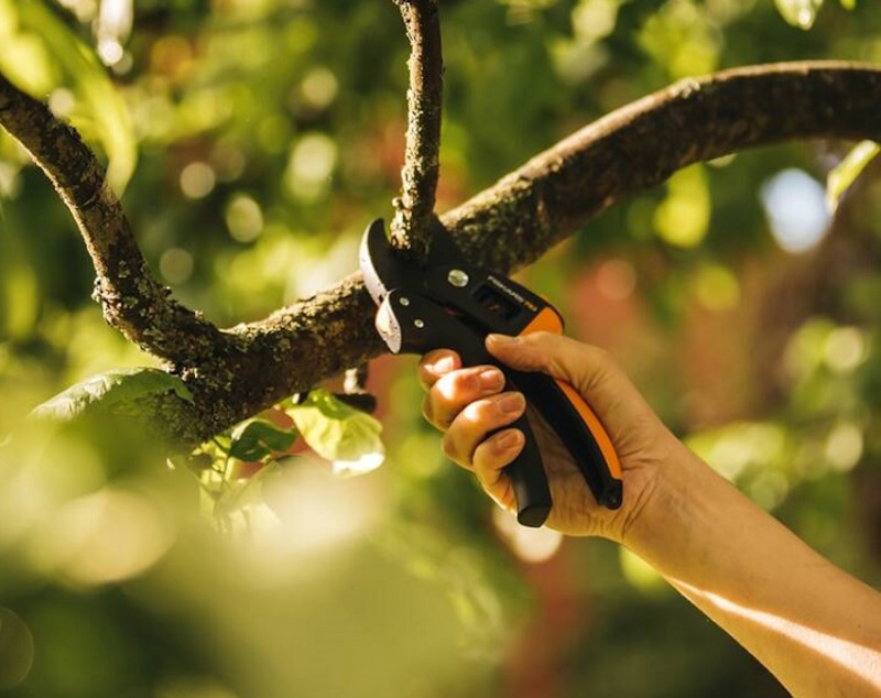 Секатори Фіскарс